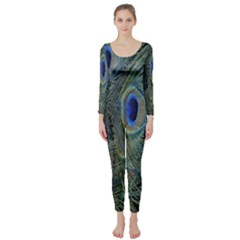 Peacock Feathers Blue Bird Nature Long Sleeve Catsuit by Amaryn4rt