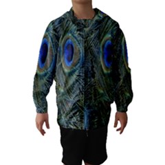 Peacock Feathers Blue Bird Nature Hooded Wind Breaker (kids) by Amaryn4rt