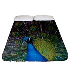 Peacock Feather Beat Rad Blue Fitted Sheet (queen Size) by Amaryn4rt