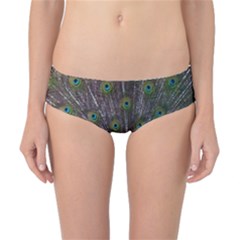 Peacock Feather Beat Rad Blue Classic Bikini Bottoms by Amaryn4rt