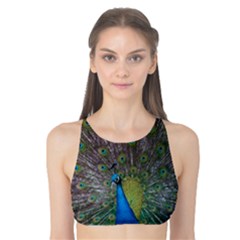 Peacock Feather Beat Rad Blue Tank Bikini Top by Amaryn4rt