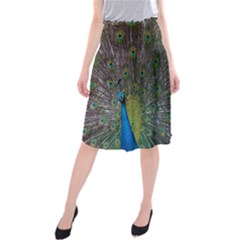 Peacock Feather Beat Rad Blue Midi Beach Skirt by Amaryn4rt