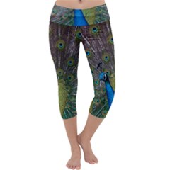 Peacock Feather Beat Rad Blue Capri Yoga Leggings by Amaryn4rt