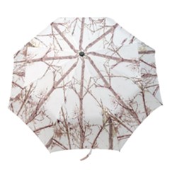 Textured Nature Print Folding Umbrellas by dflcprints