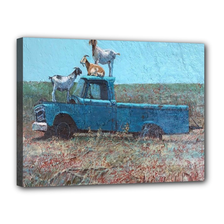 Goats on a Pickup Truck Canvas 16  x 12 