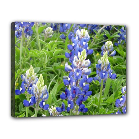 Blue Bonnets Canvas 14  X 11  by CreatedByMeVictoriaB