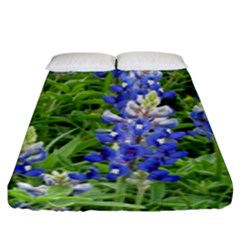 Blue Bonnets Fitted Sheet (king Size)