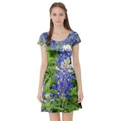 Blue Bonnets Short Sleeve Skater Dress