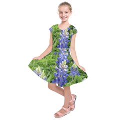 Blue Bonnets Kids  Short Sleeve Dress