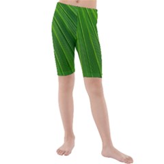 Green Lines Macro Pattern Kids  Mid Length Swim Shorts