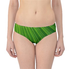 Green Lines Macro Pattern Hipster Bikini Bottoms