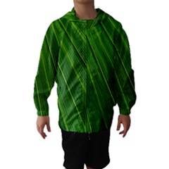 Green Lines Macro Pattern Hooded Wind Breaker (kids) by Amaryn4rt