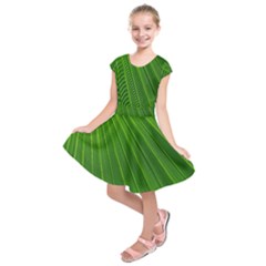 Green Lines Macro Pattern Kids  Short Sleeve Dress