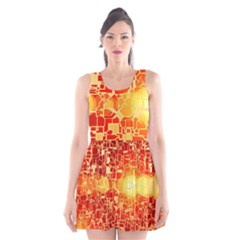 Board Conductors Circuit Scoop Neck Skater Dress by Amaryn4rt