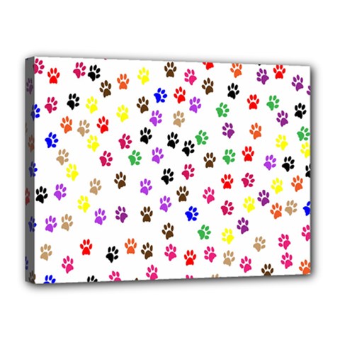 Paw Prints Background Canvas 16  X 12 