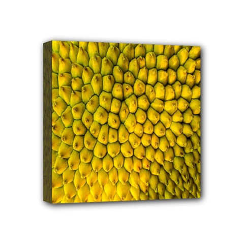 Jack Shell Jack Fruit Close Mini Canvas 4  X 4  by Amaryn4rt