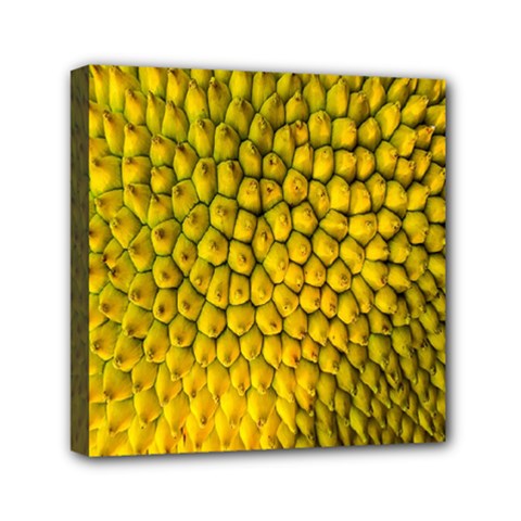 Jack Shell Jack Fruit Close Mini Canvas 6  X 6  by Amaryn4rt