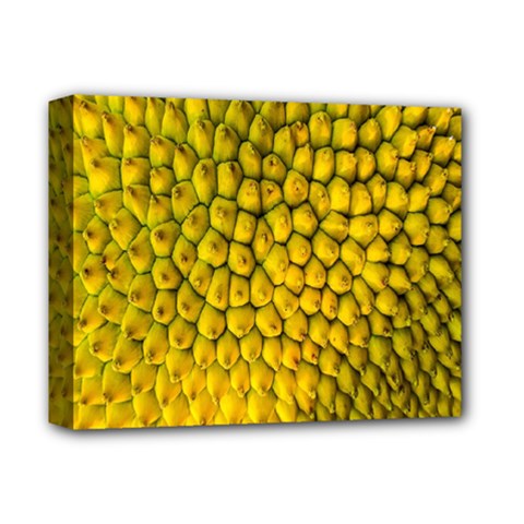 Jack Shell Jack Fruit Close Deluxe Canvas 14  X 11  by Amaryn4rt