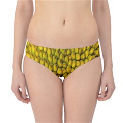 Jack Shell Jack Fruit Close Hipster Bikini Bottoms by Amaryn4rt