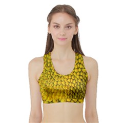 Jack Shell Jack Fruit Close Sports Bra With Border