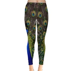 Bird Peacock Display Full Elegant Plumage Leggings  by Amaryn4rt