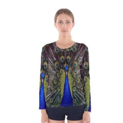 Bird Peacock Display Full Elegant Plumage Women s Long Sleeve Tee