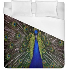 Bird Peacock Display Full Elegant Plumage Duvet Cover (king Size)