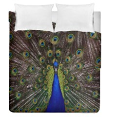 Bird Peacock Display Full Elegant Plumage Duvet Cover Double Side (queen Size) by Amaryn4rt