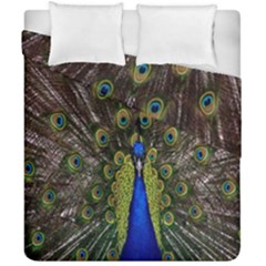 Bird Peacock Display Full Elegant Plumage Duvet Cover Double Side (california King Size)