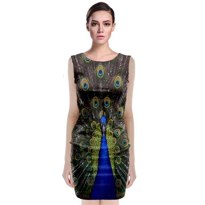 Bird Peacock Display Full Elegant Plumage Classic Sleeveless Midi Dress