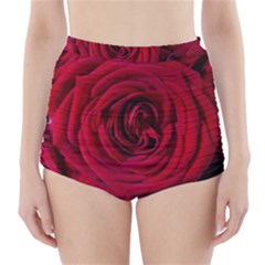 Roses Flowers Red Forest Bloom High-waisted Bikini Bottoms by Amaryn4rt