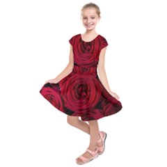 Roses Flowers Red Forest Bloom Kids  Short Sleeve Dress