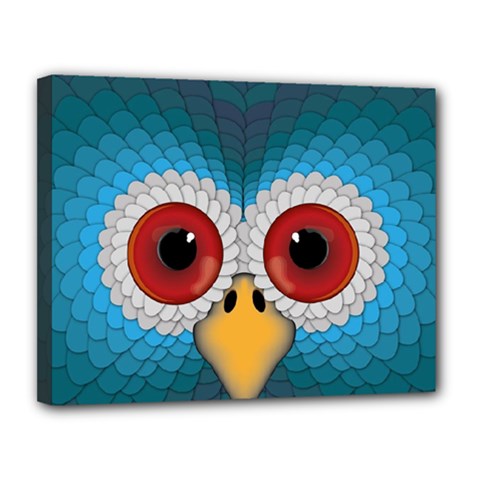 Bird Eyes Abstract Canvas 14  X 11 