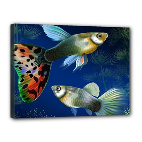 Marine Fishes Canvas 16  X 12  by Amaryn4rt