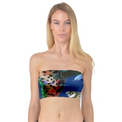 Marine Fishes Bandeau Top