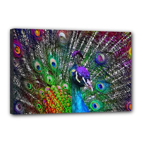 3d Peacock Pattern Canvas 18  X 12 