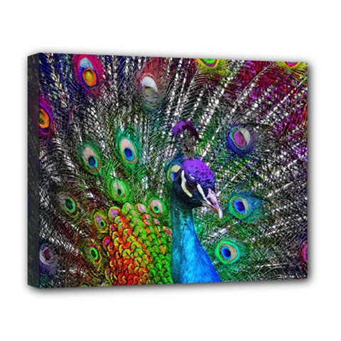 3d Peacock Pattern Deluxe Canvas 20  X 16  