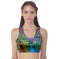 3d Peacock Pattern Sports Bra by Amaryn4rt