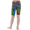 3d Peacock Pattern Kids  Mid Length Swim Shorts View2