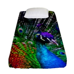 3d Peacock Pattern Fitted Sheet (single Size)