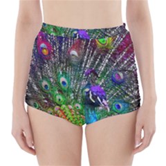 3d Peacock Pattern High-waisted Bikini Bottoms by Amaryn4rt