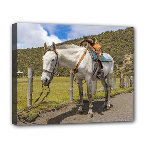 White Horse Tied Up At Cotopaxi National Park Ecuador Deluxe Canvas 20  X 16   by dflcprints