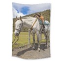 White Horse Tied Up at Cotopaxi National Park Ecuador Large Tapestry View1