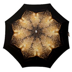 3d Beautiful Peacock Straight Umbrellas by Amaryn4rt