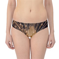 3d Beautiful Peacock Hipster Bikini Bottoms