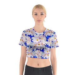 Gyd 8 Cotton Crop Top by BluedarkArt