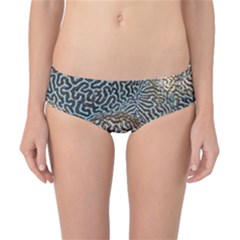 Coral Pattern Classic Bikini Bottoms