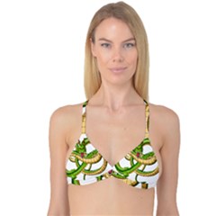 Dragon Snake Reversible Tri Bikini Top