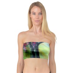 Forests Stunning Glimmer Paintings Sunlight Blooms Plants Love Seasons Traditional Art Flowers Sunsh Bandeau Top by Amaryn4rt