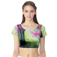 Forests Stunning Glimmer Paintings Sunlight Blooms Plants Love Seasons Traditional Art Flowers Sunsh Short Sleeve Crop Top (tight Fit) by Amaryn4rt